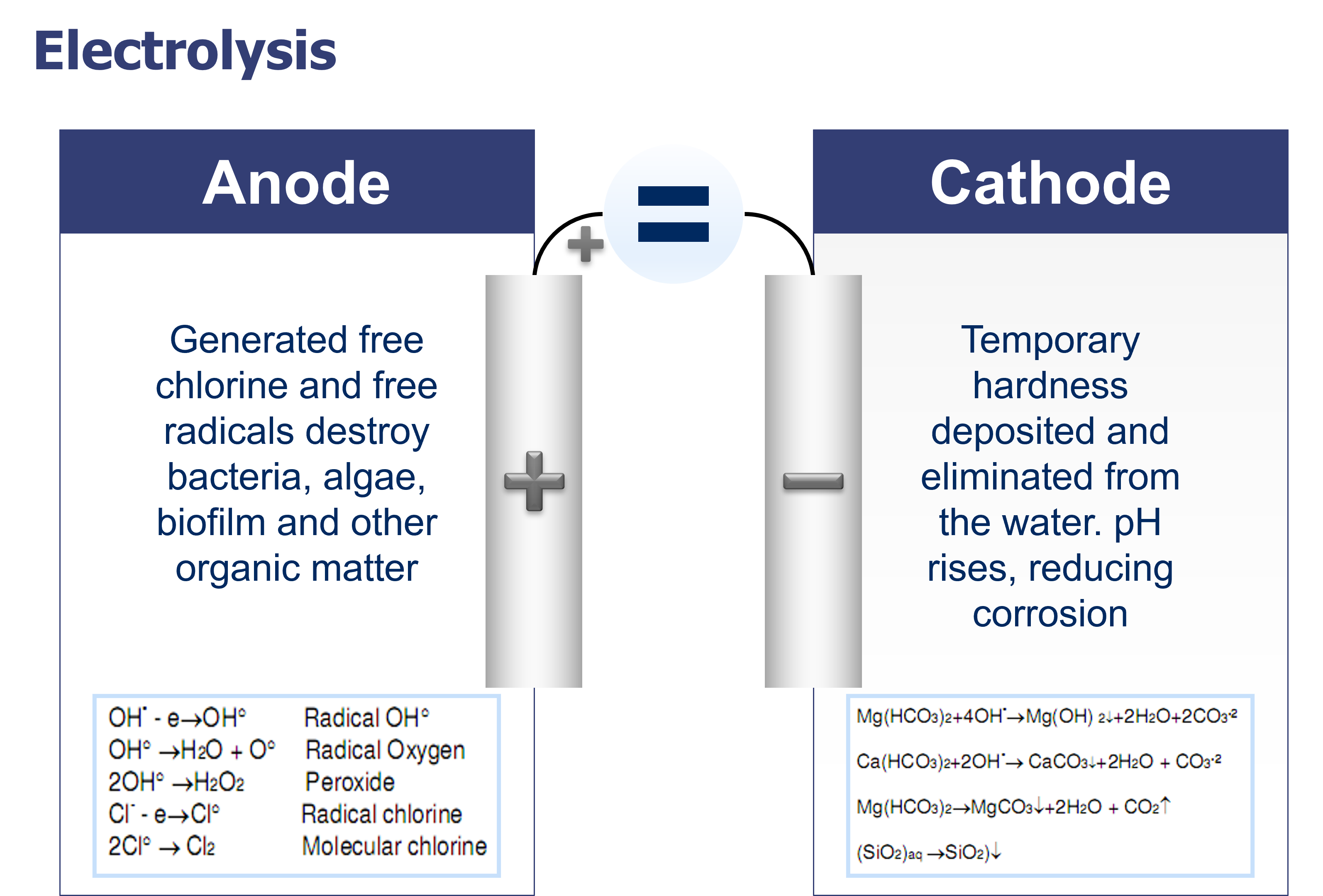 SRS – Scale Removing System