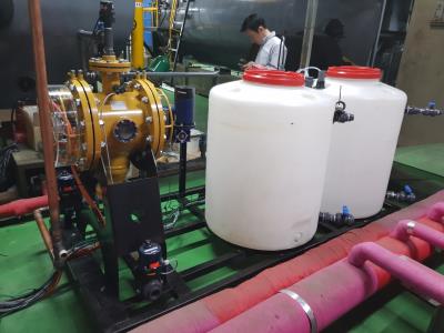 SRS – Scale Removing System