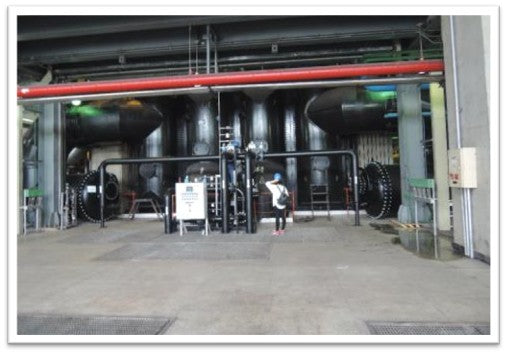 SRS – Scale Removing System