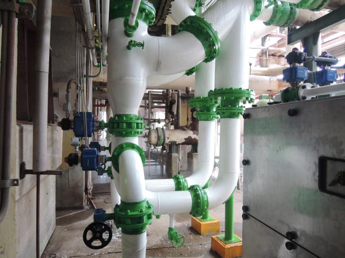 SRS – Scale Removing System