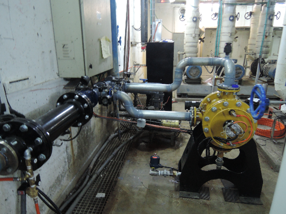 SRS – Scale Removing System