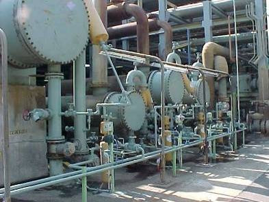 SRS – Scale Removing System