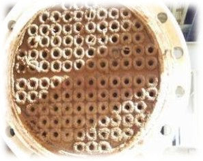 SRS – Scale Removing System