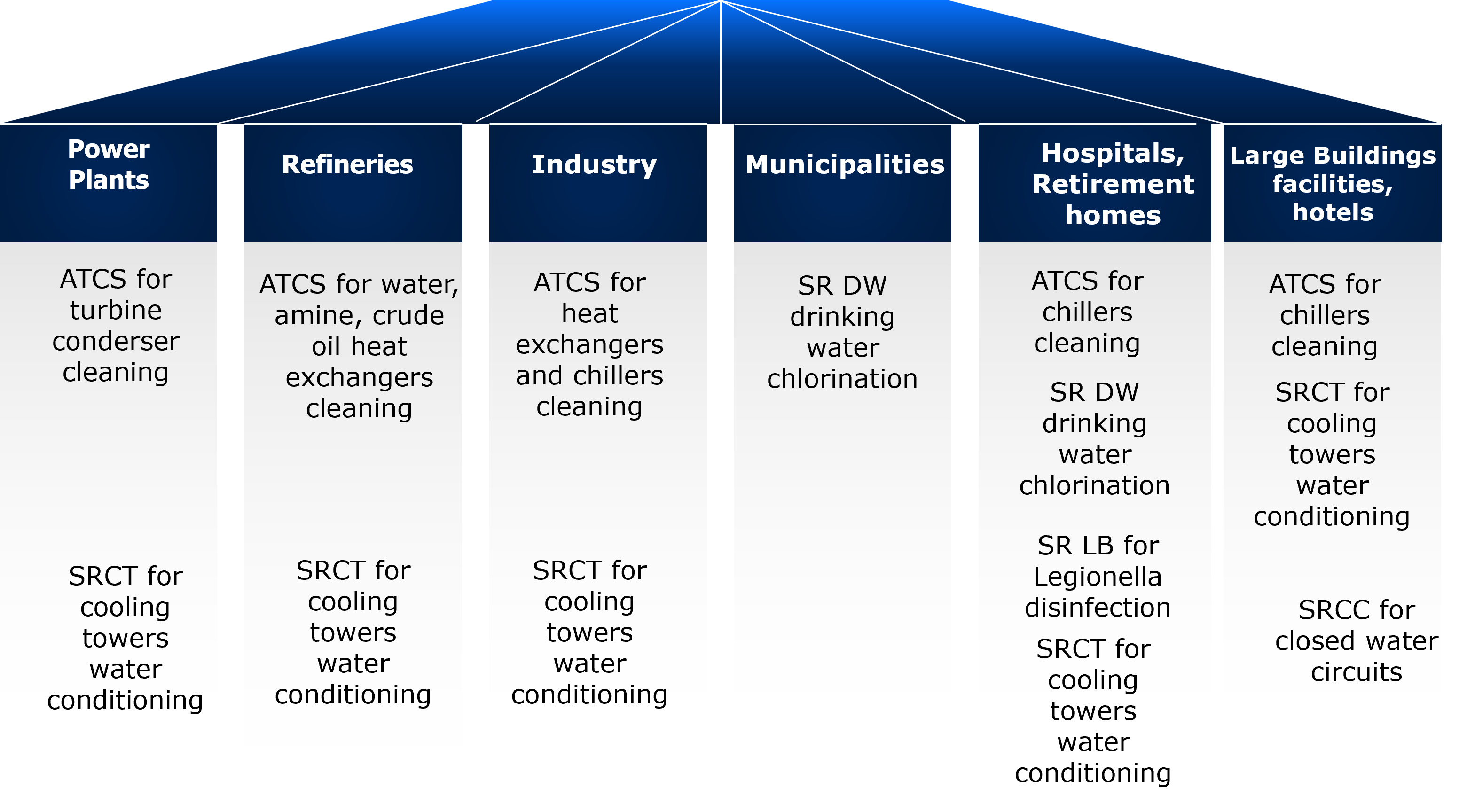 SRS – Scale Removing System